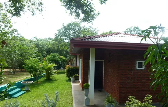 cottages in habarana