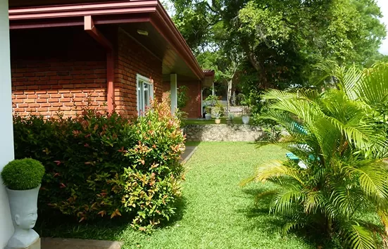 cottages in habarana
